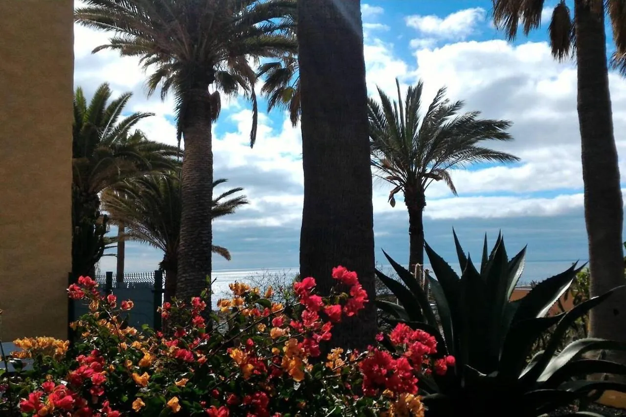 Sul Mare Atlantico Intero Appartamento Con Piscina Arona  Arona (Tenerife)